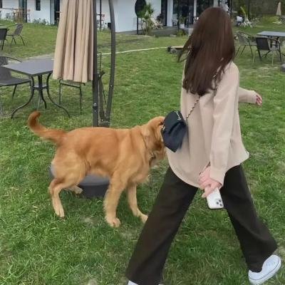 血腥妈妈